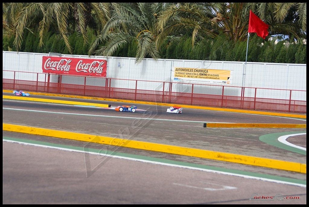 Coches de radiocontrol rodando en un circuito de asfalto con vallas publicitarias y palmeras al fondo durante una carrera